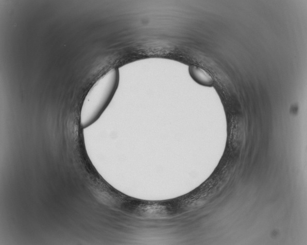 X0000116370501201001131750