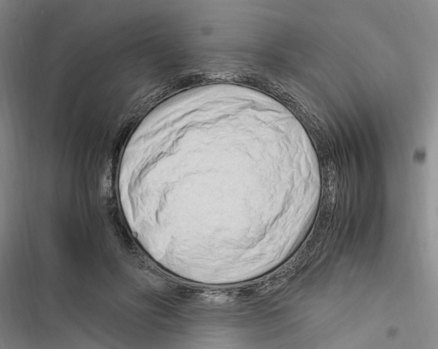 X0000116370502201001131750