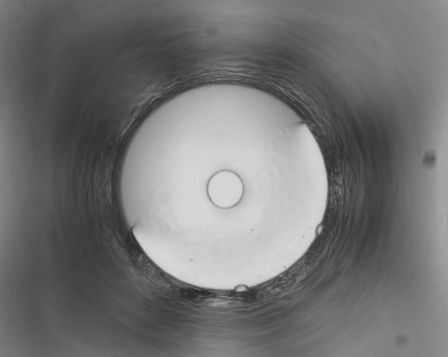 X0000116370504201001131750