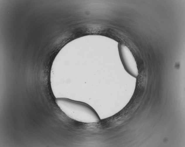 X0000116370505201001131750