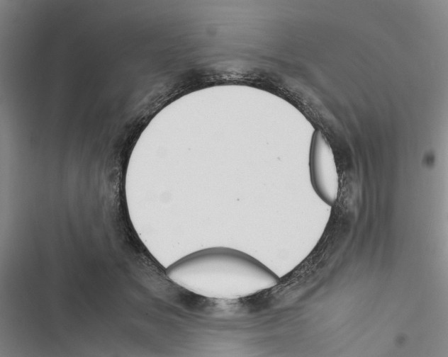 X0000116370509201001131750