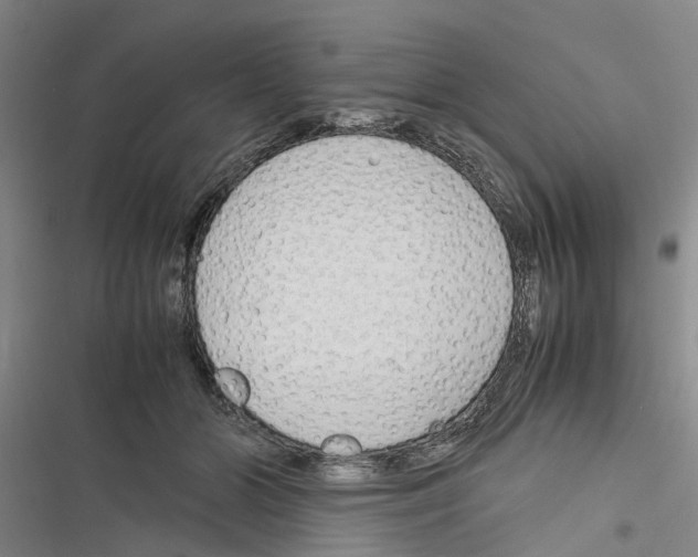 X0000116370510201001131750