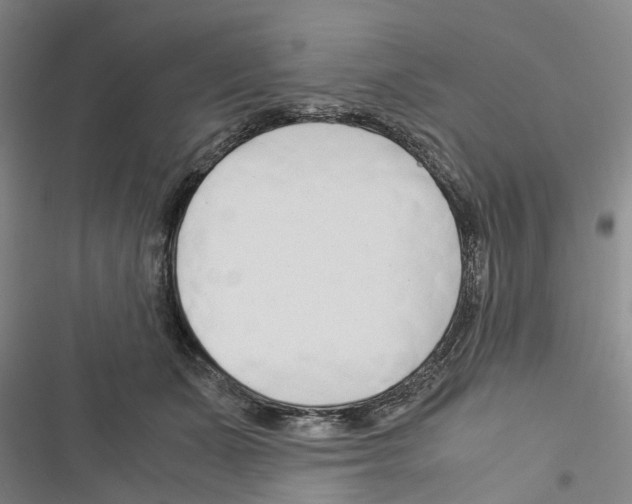 X0000116370511201001131750