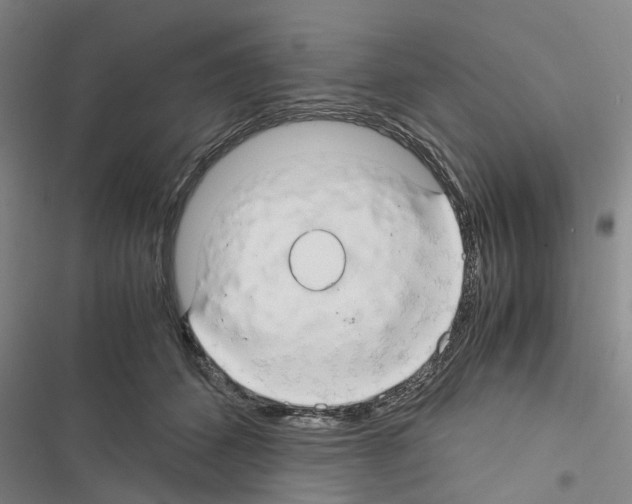 X0000116370512201001131750