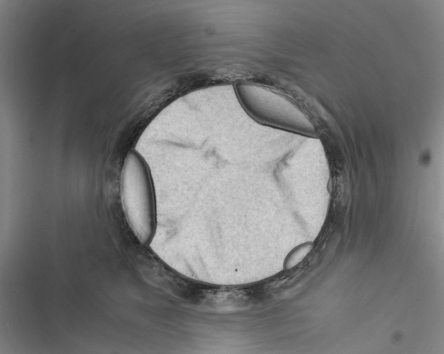 X0000116370517201001131750