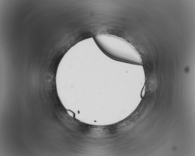 X0000116370521201001131750