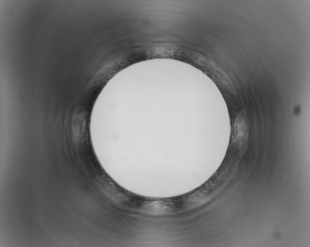 X0000116370522201001131750