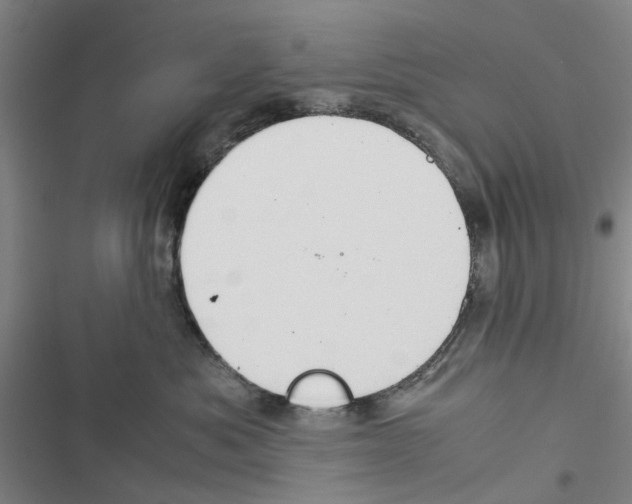 X0000116370525201001131750