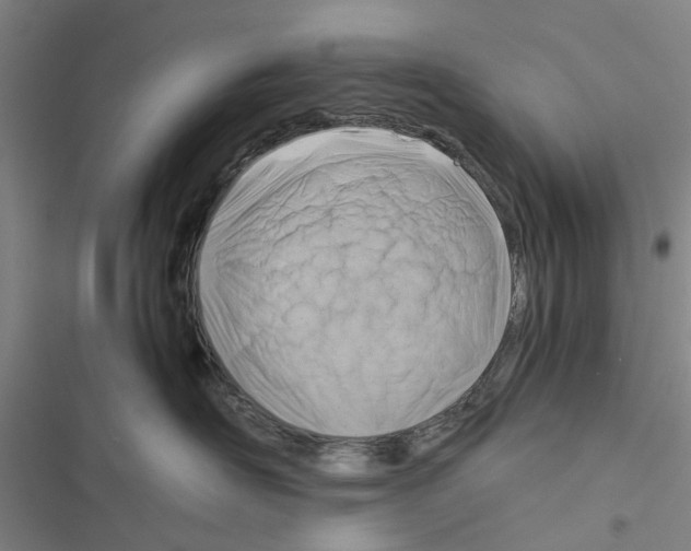 X0000116370526201001131750