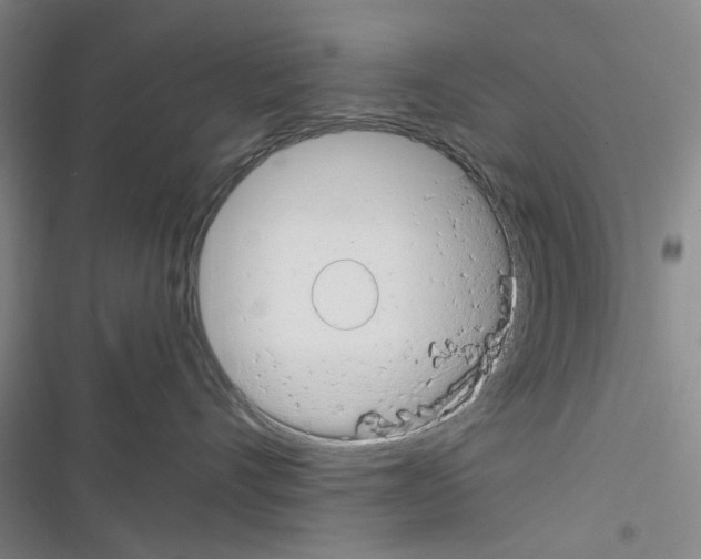 X0000116370528201001131750