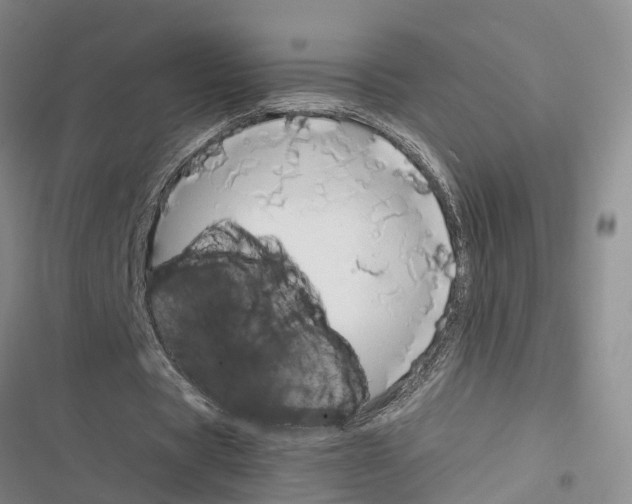 X0000116370529201001131749