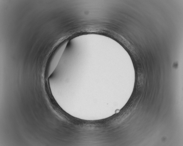 X0000116370530201001131749