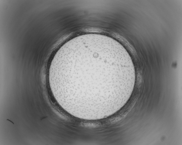 X0000116370533201001131749