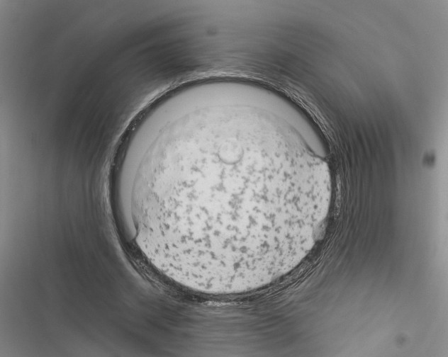 X0000116370534201001131749