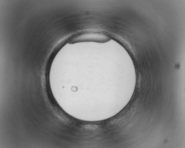 X0000116370535201001131749