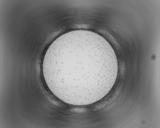 X0000116370537201001131749