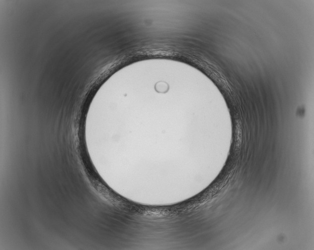 X0000116370538201001131749