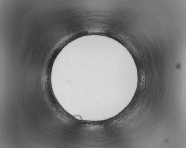 X0000116370539201001131749