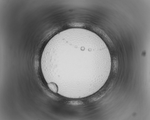 X0000116370541201001131749