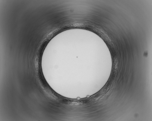 X0000116370542201001131749