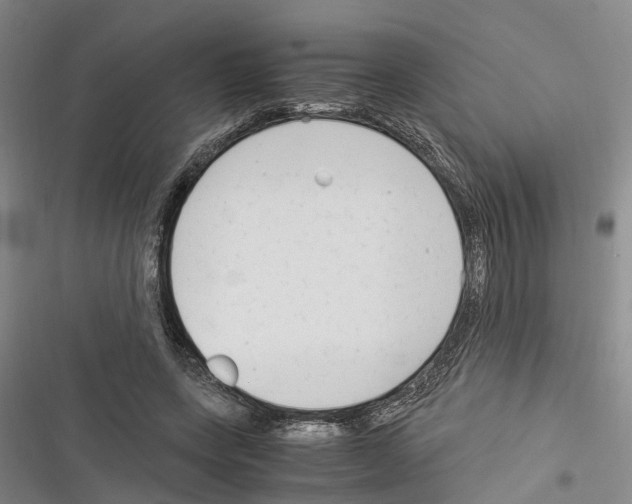 X0000116370543201001131749