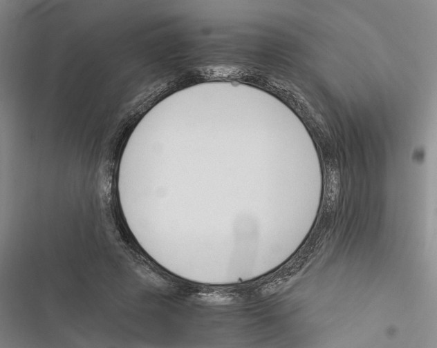 X0000116370545201001131749