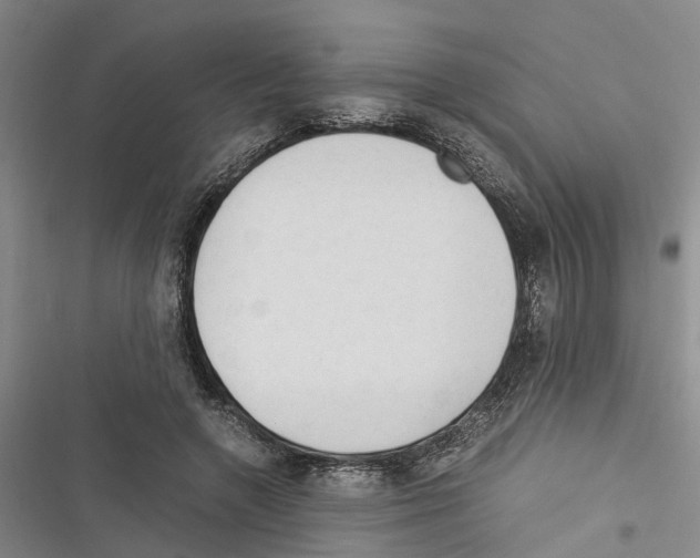 X0000116370546201001131749