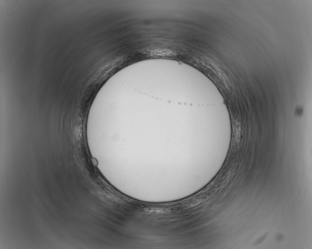 X0000116370549201001131750