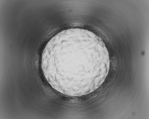 X0000116370550201001131750