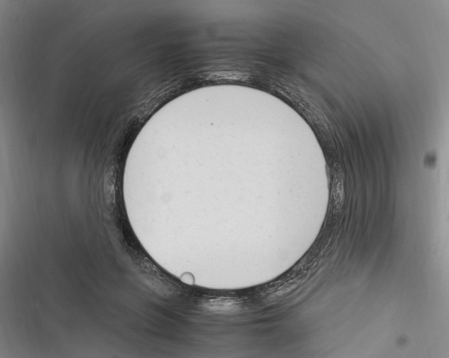 X0000116370551201001131750