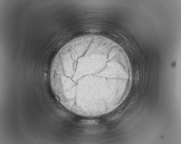 X0000116370553201001131750