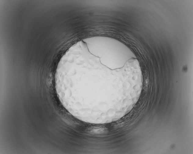 X0000116370555201001131750