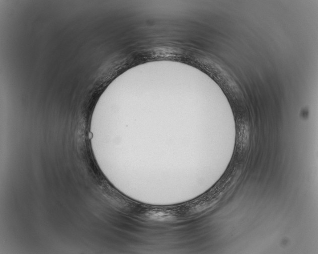 X0000116370557201001131750