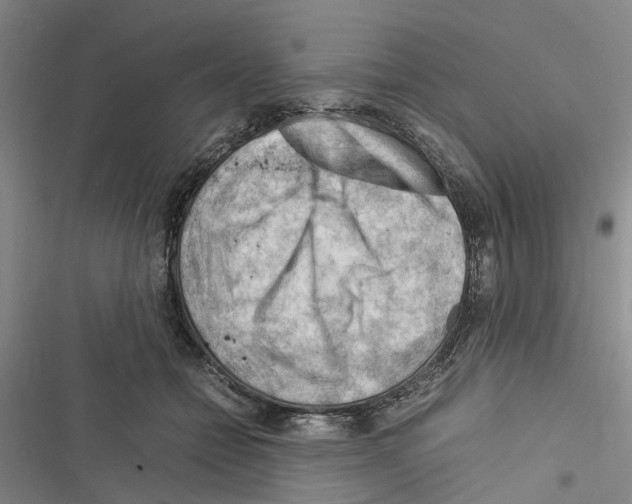 X0000116370558201001131750