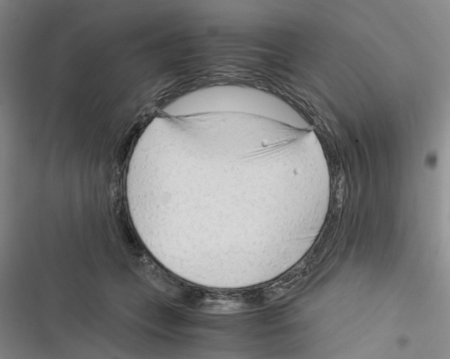 X0000116370559201001131750