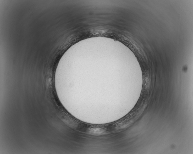 X0000116370561201001131750