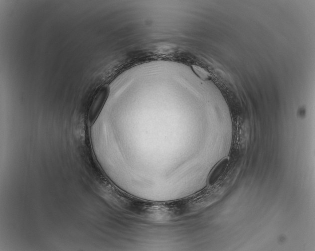 X0000116370562201001131750