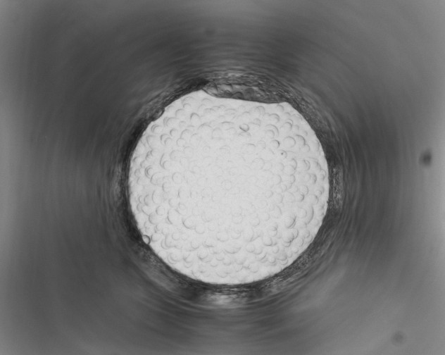 X0000116370563201001131750