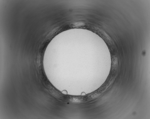 X0000116370565201001131750