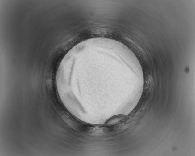 X0000116370566201001131750