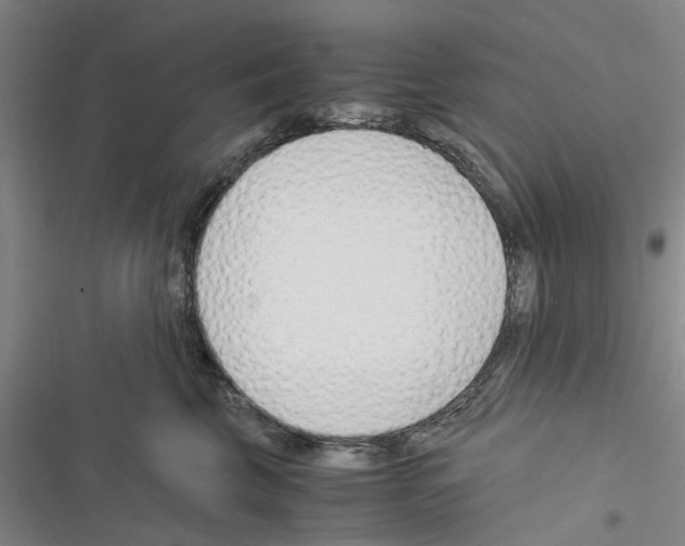 X0000116370569201001131750