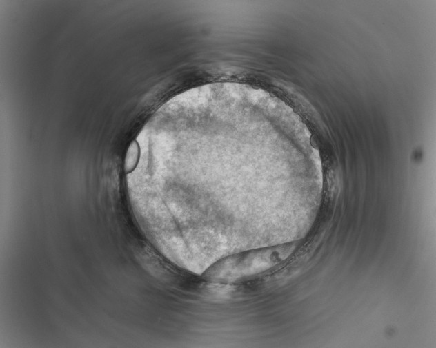 X0000116370570201001131750