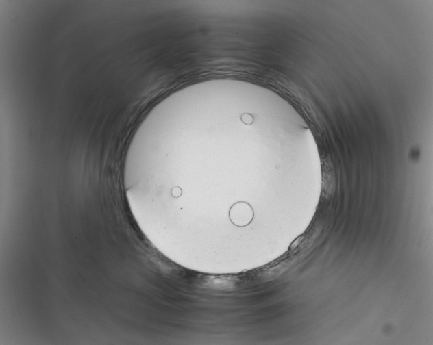 X0000116370573201001131750