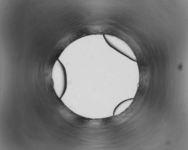 X0000116370574201001131750