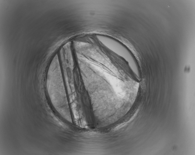 X0000116370577201001131749