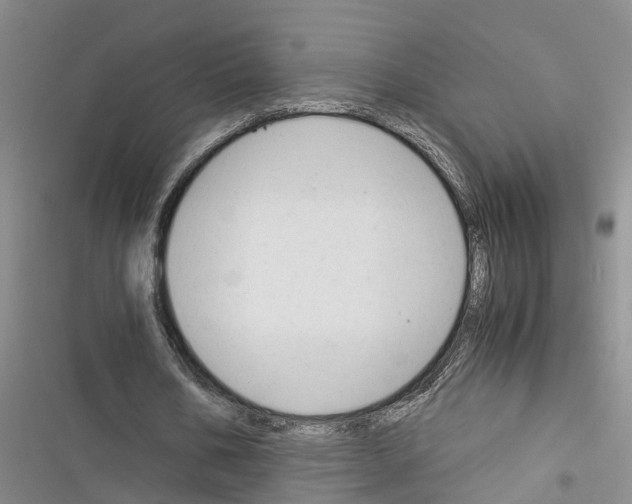 X0000116370578201001131749