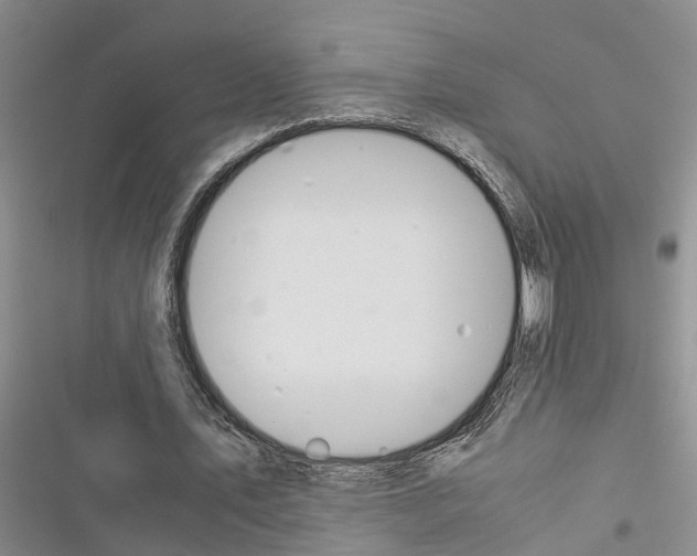 X0000116370579201001131749