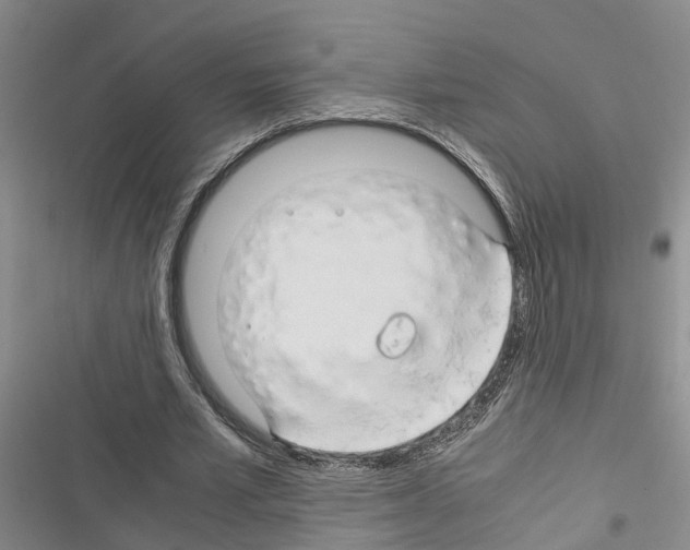 X0000116370581201001131749