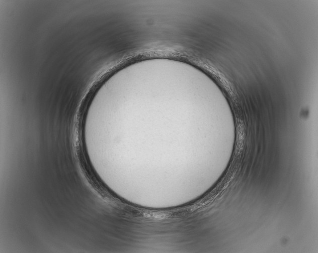 X0000116370582201001131749