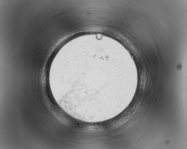 X0000116370584201001131749